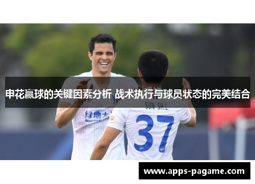申花赢球的关键因素分析 战术执行与球员状态的完美结合