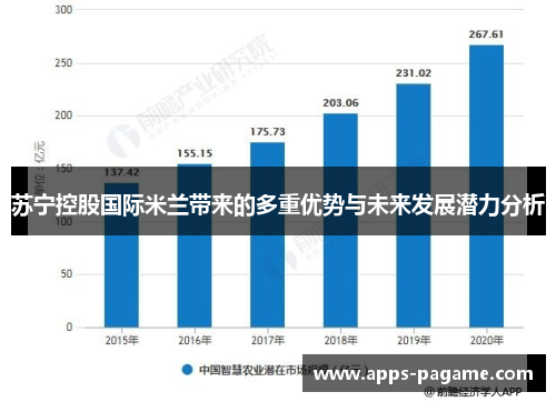 苏宁控股国际米兰带来的多重优势与未来发展潜力分析