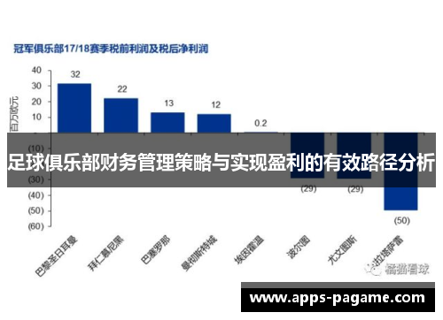 足球俱乐部财务管理策略与实现盈利的有效路径分析