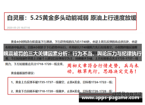 魏震被罚的三大关键因素分析：行为不当、舆论压力与纪律执行
