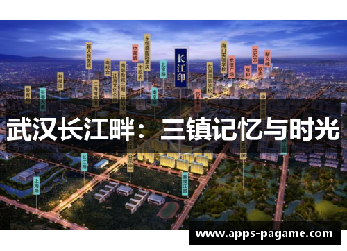 武汉长江畔:三镇记忆与时光 武汉长江畔:三镇记忆与时光
